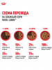Royal Canin Medium Adult, собаки, кусочки в соусе