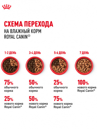 Royal Canin Medium Adult, собаки, кусочки в соусе