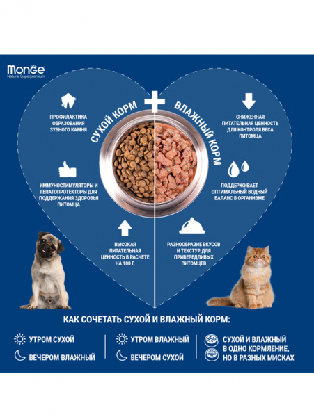 Monge Cat Speciality Line Kitten Beef купить в ZooKorm24.ru
