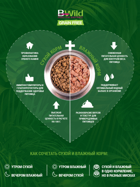 Monge Dog BWild Grain Free Salmon купить в ZooKorm24.ru

