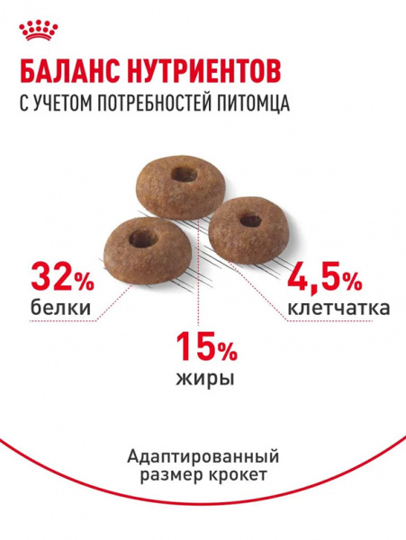 Royal Canin Fit 32 купить в ZooKorm24.ru

