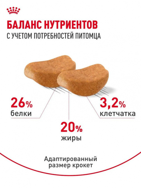 Royal Canin Rottweiler Adult купить в ZooKorm24.ru
