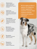 Brit Care Dog Adult M для взрослых собак средних пород, здоровье зубов, индейка