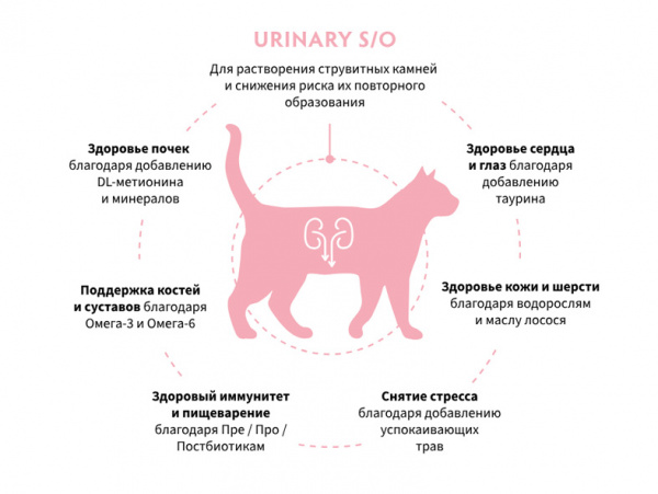 Grandorf Cat Vet Urinary купить в ZooKorm24.ru