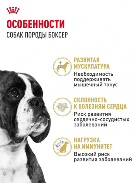 Royal Canin Boxer Adult купить в ZooKorm24.ru
