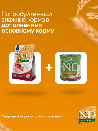 Farmina Ancestral Grain N&D Dog Senoir Medium&Maxi Для пожилых средних и крупных пород, Курица, гранат, спельта и овес