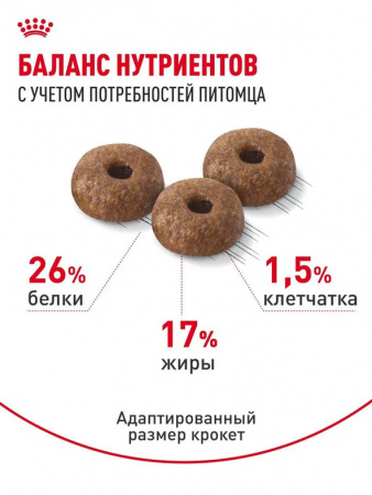 Royal Canin Mini Dermacomfort сухой корм для взрослых собак мелких пород при раздражениях кожи, связанных с повышенной чувствительностью