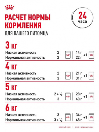 Royal Canin Digestive Care влажный корм для взрослых кошек с чувствительным пищеварением, кусочки в соусе, в паучах