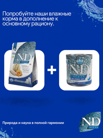 Farmina Ocean N&D Dog Puppy Medium&Maxi Grain-Free Для щенков средних и крупных пород, Треска, тыква и дыня