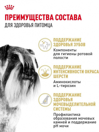 Royal Canin Miniature Schnauzer