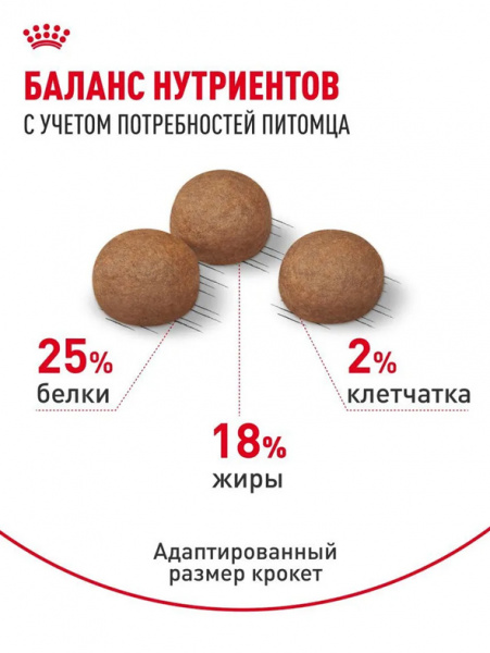 Royal Canin Medium Digestive Care купить в ZooKorm24.ru

