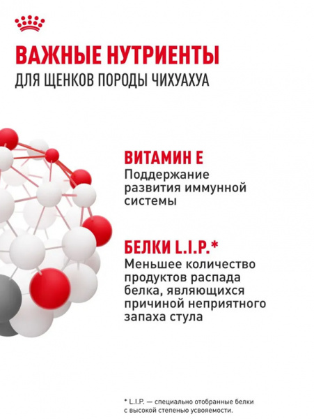 Royal Canin Chihuahua Puppy купить в ZooKorm24.ru
