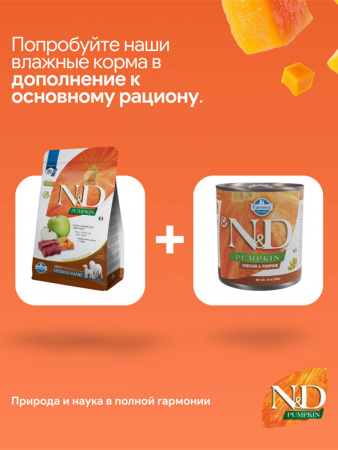 Farmina Pumpkin N&D Dog Adult Medium&Maxi сухой корм для взрослых собак средних и крупных пород, оленина, яблоко, тыква