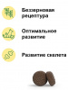 Josera Dog YoungStar для щенков и молодых собак, беззерновой, курица с картофелем