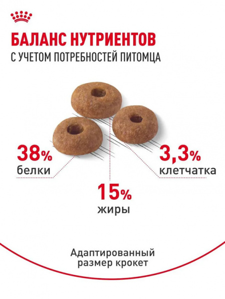 Royal Canin Digestive Care купить в ZooKorm24.ru
