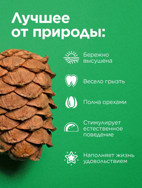 Little One Лакомство-игрушка Кедровая шишка для грызунов, 50гр