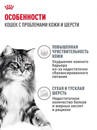 Royal Canin Hair&Skin Care, кусочки в желе, паучи