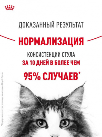 Royal Canin Digestive Care влажный корм для взрослых кошек с чувствительным пищеварением, кусочки в соусе, в паучах