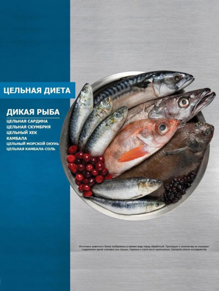 Orijen Cat Six Fish сухой корм для кошек всех возрастов, беззерновой, шесть видов рыбы