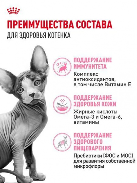 Royal Canin Sphynx Kitten купить в ZooKorm24.ru
