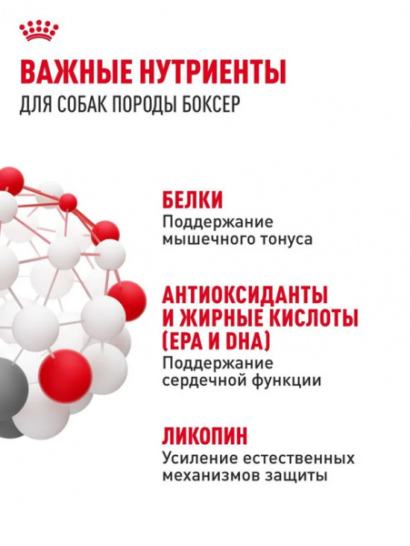 Royal Canin Boxer Adult купить в ZooKorm24.ru
