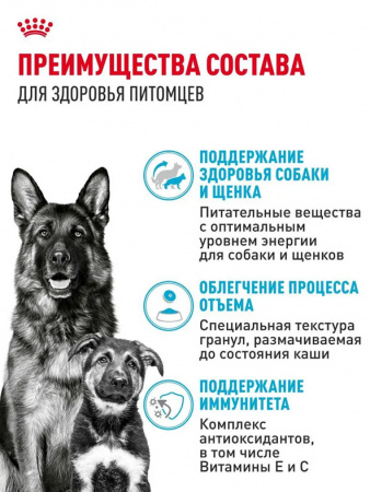 Royal Canin Maxi Starter