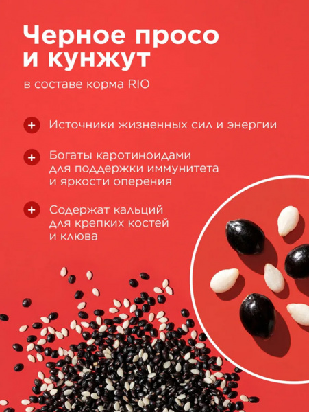 Rio Корм для экзотических птиц Основной рацион