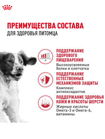 Royal Canin Medium Adult, собаки, кусочки в соусе