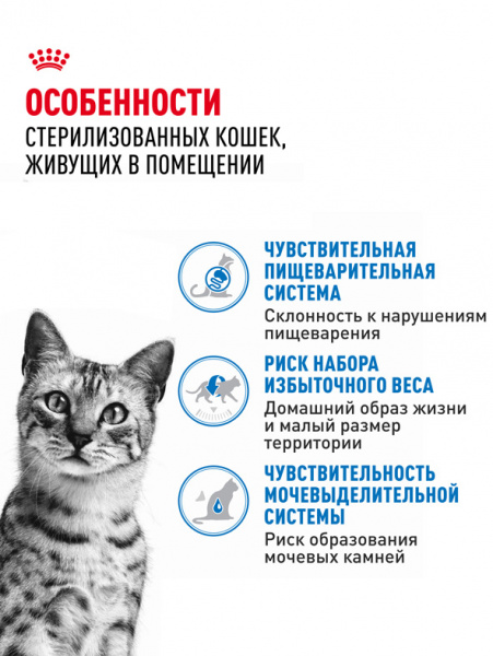 Royal Canin Indoor Sterilised купить в ZooKorm24.ru
