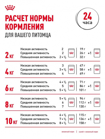 Royal Canin Mini Ageing 12+ влажный корм для собак мелких пород старше 12 лет, кусочки в соусе, паучи