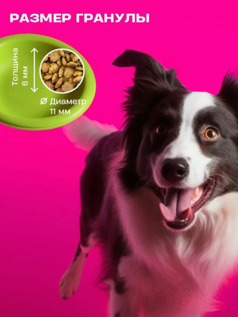 Wellement Dog Adult Sensitive сухой корм для всех пород, ягненок