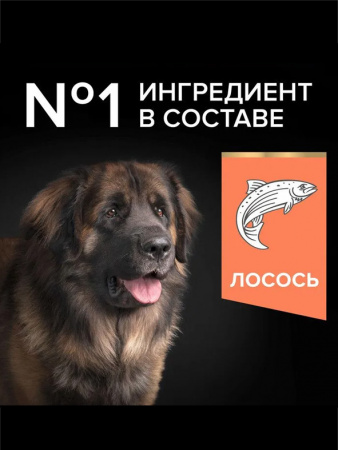 Pro Plan Large Robust Adult Sensitive Skin, лосось