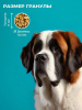 Wellement Puppy Medium&Large сухой корм для щенков средних и крупных пород, индейка