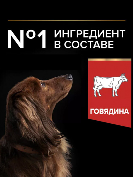 Pro Plan Duo Delice Adult Small&Mini купить в ZooKorm24.ru
