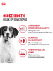 Royal Canin Medium Adult, собаки, кусочки в соусе