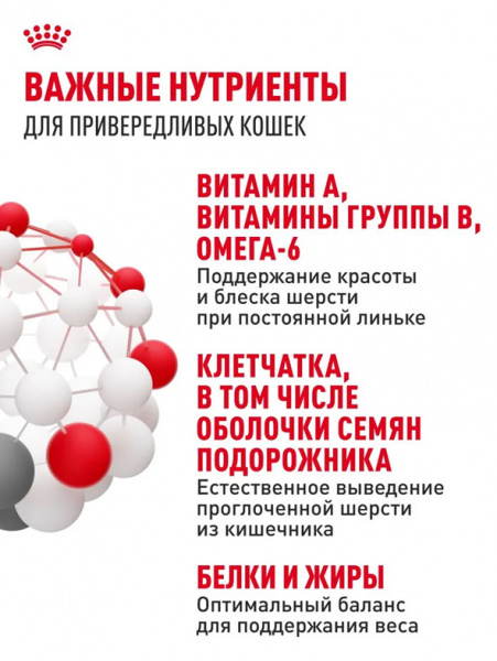 Royal Canin Indoor Long Hair купить в ZooKorm24.ru
