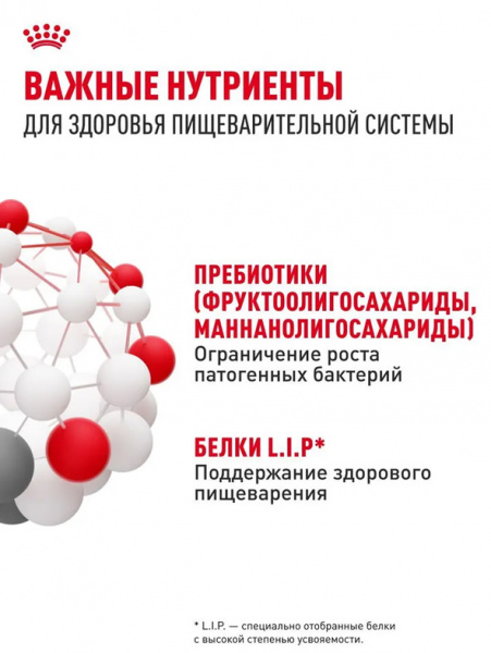 Royal Canin Medium Digestive Care купить в ZooKorm24.ru

