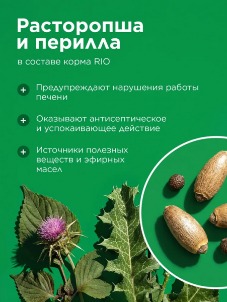 Rio Корм для лесных певчих птиц Основной рацион