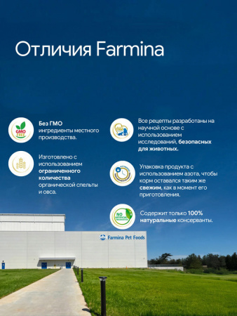 Farmina Ocean N&D Dog Puppy Medium&Maxi Grain-Free Для щенков средних и крупных пород, Треска, тыква и дыня