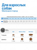 Farmina Quinoa N&D Dog Mini Grain Free Quinoa Skin&Coat Herring Для маленьких пород, Сельдь и киноа