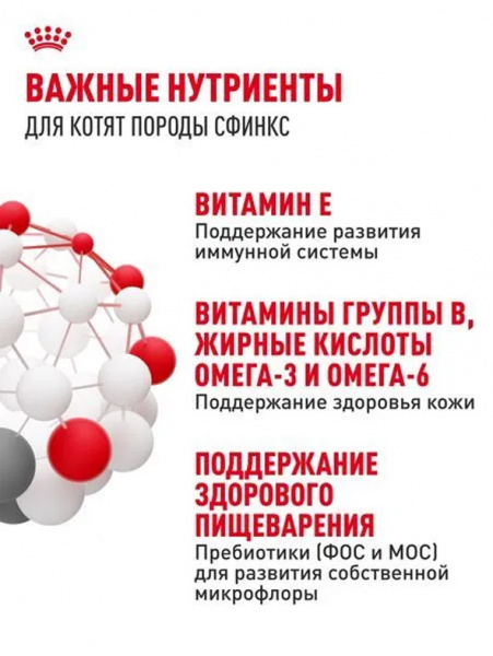 Royal Canin Sphynx Kitten купить в ZooKorm24.ru
