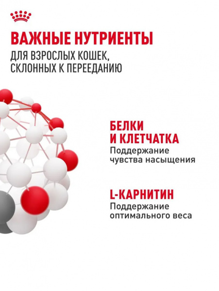 Royal Canin Appetite Control Care купить в ZooKorm24.ru
