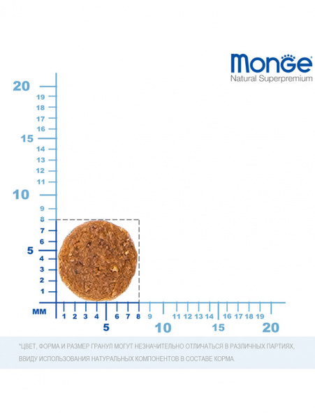 Monge Cat BWild Kitten Low Grain купить в ZooKorm24.ru
