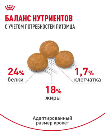 Royal Canin X-Small Adult сухой корм для взрослых собак миниатюрных пород (до 4 кг) с 10 месяцев до 8 лет
