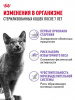 Royal Canin Sterilised +7