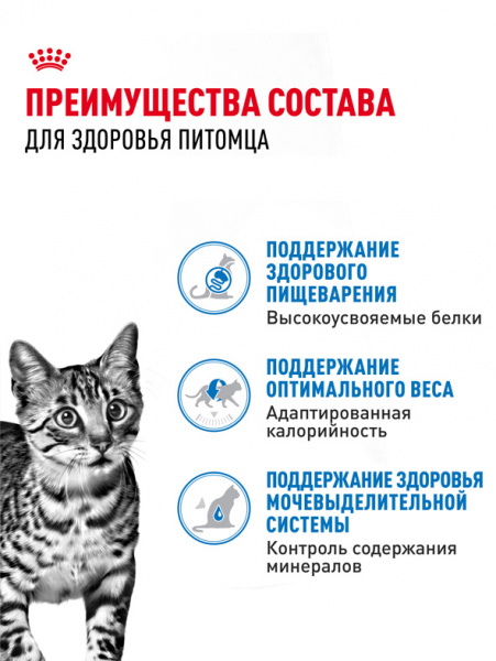 Royal Canin Indoor Sterilised купить в ZooKorm24.ru
