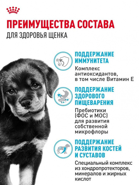 Royal Canin Rottweiler Puppy купить в ZooKorm24.ru
