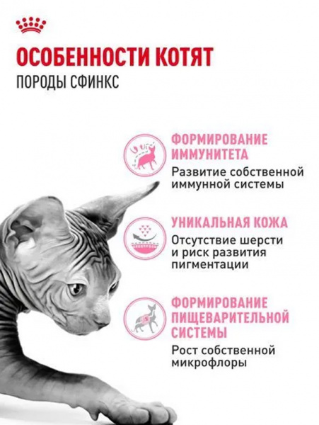 Royal Canin Sphynx Kitten купить в ZooKorm24.ru
