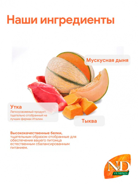Farmina N&D Pumpkin Cat Adult Grain Free купить в ZooKorm24.ru
