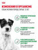 Royal Canin Mini Ageing 12+ влажный корм для собак мелких пород старше 12 лет, кусочки в соусе, паучи